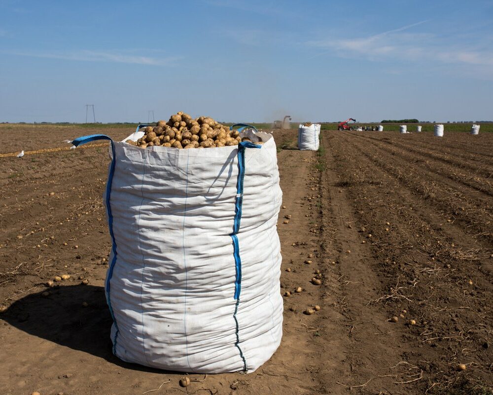 trinidad jumbo bags trinidad fibc bags caribbean fibc bulk bags trinidad bulk bags caribbean fibc bags bags bulk bags trinindad bulk bag suppliers trinidad suppliers trinidad polypropylene